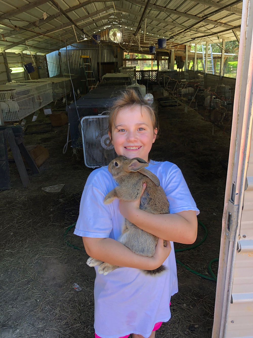 Little rabbits hot sale for sale